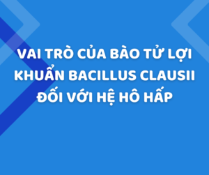 Vai trò của bào tử lợi khuẩn Bacillus Clausii đối với hệ hô hấp