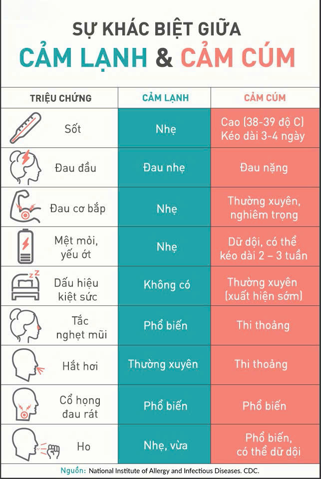 Phân biệt triệu chứng cảm lạnh và cúm