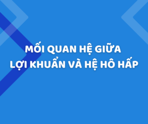 Mối quan hệ giữa lợi khuẩn và hệ hô hấp